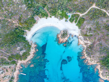 b4a85559-abed-4be5-bcd3-2001c62c42f2