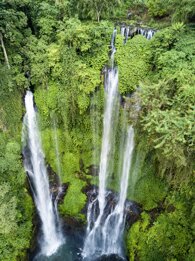 f4beec0b-0303-4747-ae20-fb5bd661a570