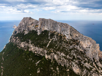 d9a8f748-c948-4a97-87fe-f05f9836f8e1