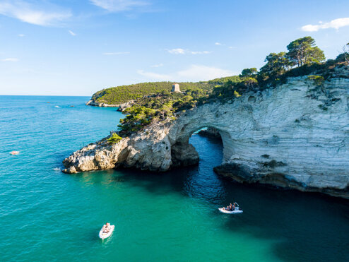 5b9c7b4a-0230-4a97-a0dd-91561691554f