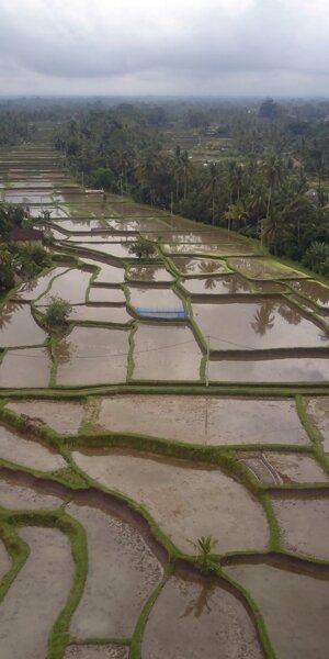 dji_0410.jpeg