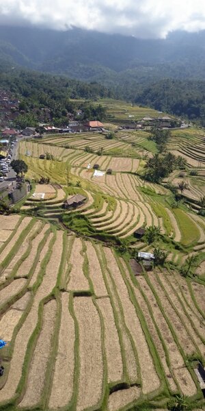 dji_0023.jpeg