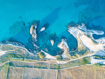 5e9bde10-1c05-4f3d-8e19-a41109fbdd0b