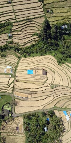 dji_0207.jpeg