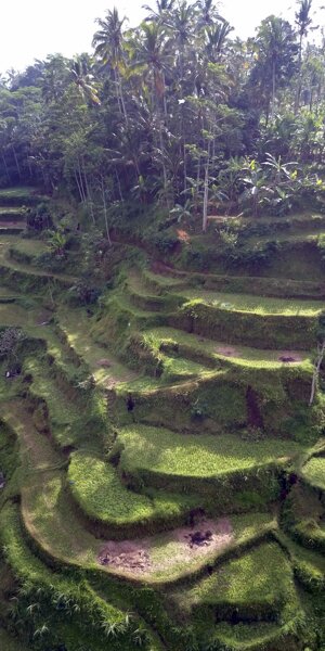 dji_0828.jpeg