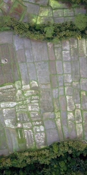 dji_0280.jpeg