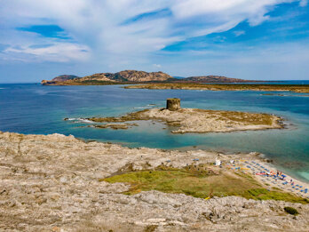 1d27c46f-d33f-428b-97f5-8a23b3a6f0fc