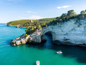 c600ed16-7c08-4780-90cc-e7649a4b9c99