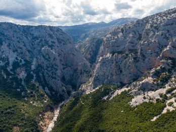 ba5e6305-36cb-4a8b-be35-cfac88f97aae