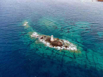 dd98c8ba-b1c8-4d63-b64e-8b46887eaafd