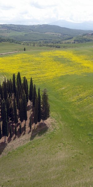 dji_0330.jpeg