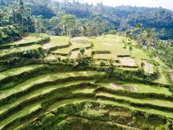 1db27897-1f2f-42b4-8a22-e548d7e1474a