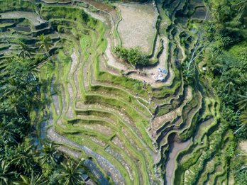 dbc5d020-dad0-4c00-aee0-c4265d424175