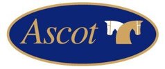 logo_ascotprova