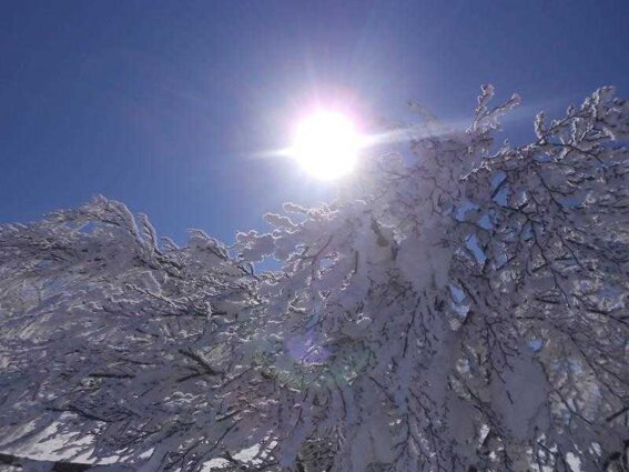 952d4e21-2cac-4224-a6af-2a1767d27425 952d4e21-2cac-4224-a6af-2a1767d27425