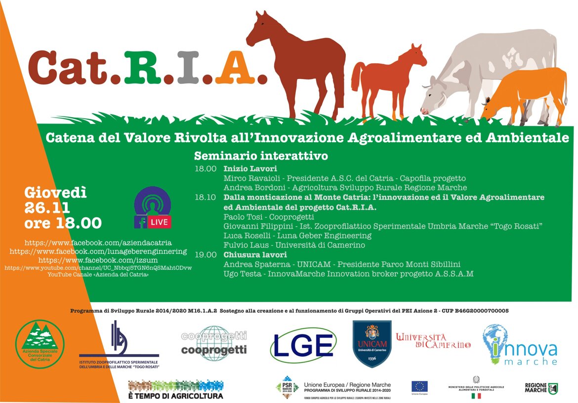 87f06b33-8795-4b25-a9f9-4af3fba3c891