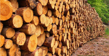 0433dde4-58ae-4e32-b22f-f6a1c059b0d1