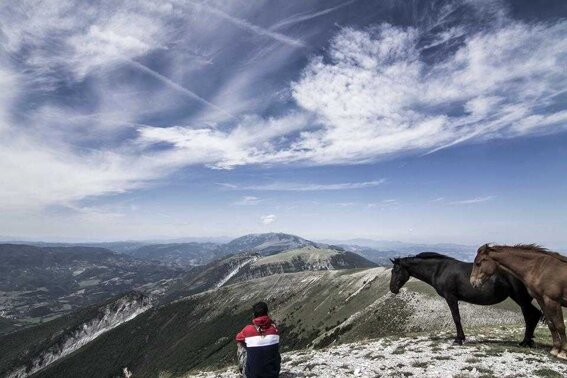 db61ae9d-1483-4105-9261-4f9a1b43b26d db61ae9d-1483-4105-9261-4f9a1b43b26d