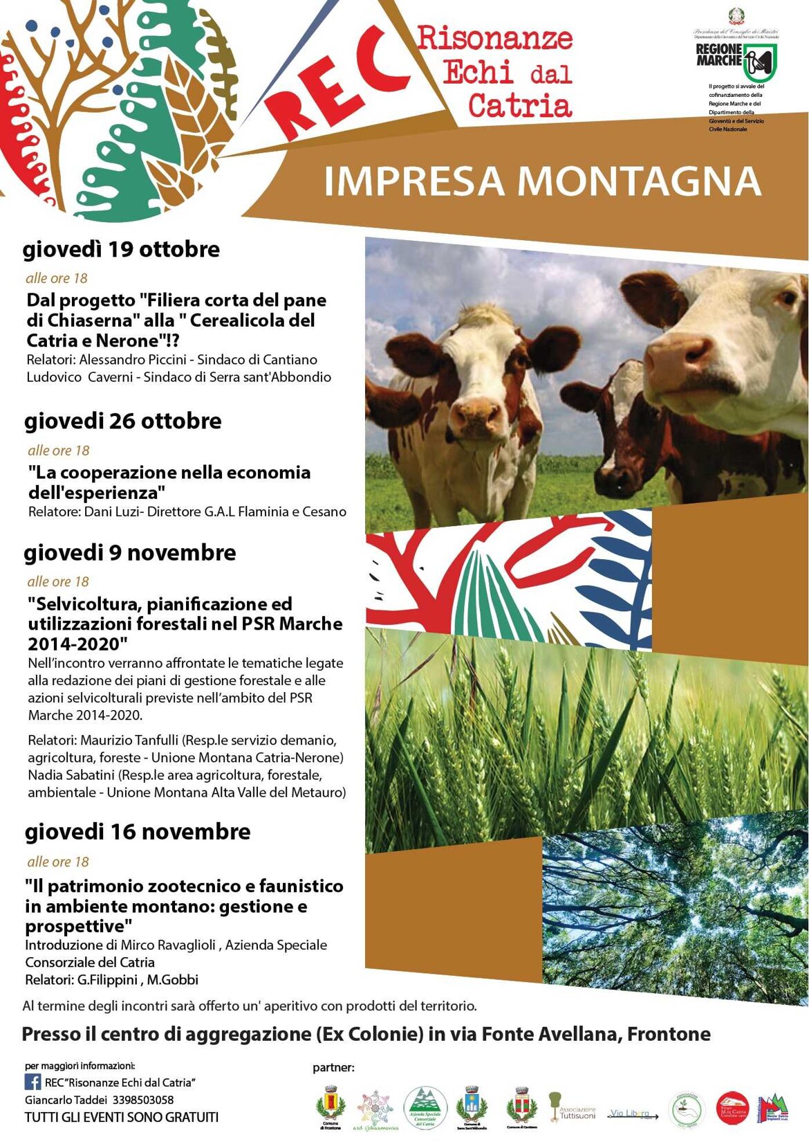 43207504-8300-4353-89c1-eae00853ad66