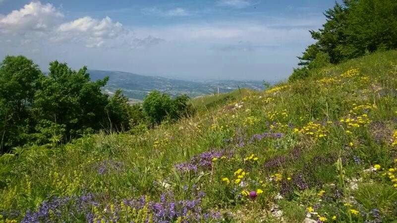 dfc22ff6-7c25-4fb1-a7fb-e14e763c15be dfc22ff6-7c25-4fb1-a7fb-e14e763c15be