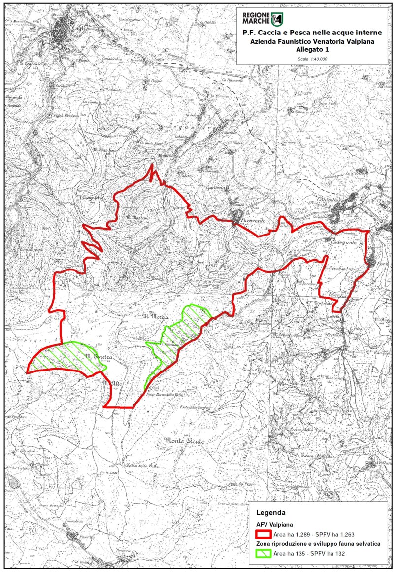 c214ab8e-9aef-4f0d-8b6c-5a1e11749c69 c214ab8e-9aef-4f0d-8b6c-5a1e11749c69