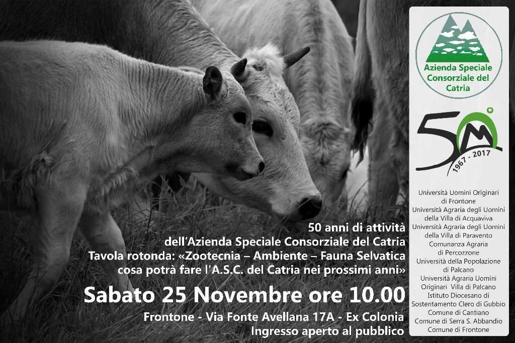 c1956b1b-c5e0-446b-a4b1-f2c1fe98d7dd