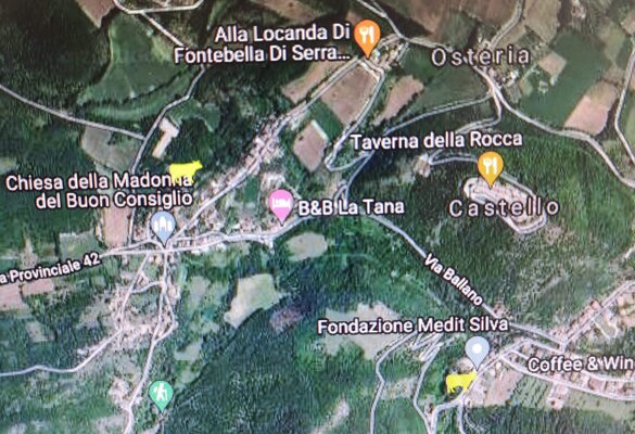 Immagine satellitare con rilevamento collari