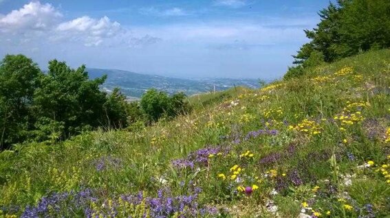 d1a5f516-577d-4ec4-882a-05829ce09c3a d1a5f516-577d-4ec4-882a-05829ce09c3a