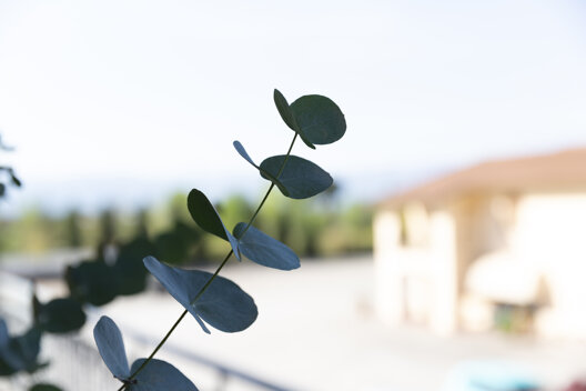 b9696c38-5d3f-4cc3-aa5e-ea7cf61aed6b