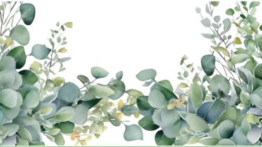 9a0872e8-1c21-479f-bb5d-ad6de6ff661b 9a0872e8-1c21-479f-bb5d-ad6de6ff661b