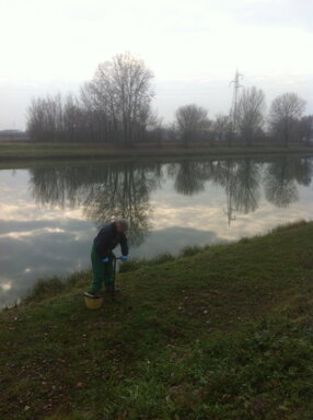 img_3752 img_3752