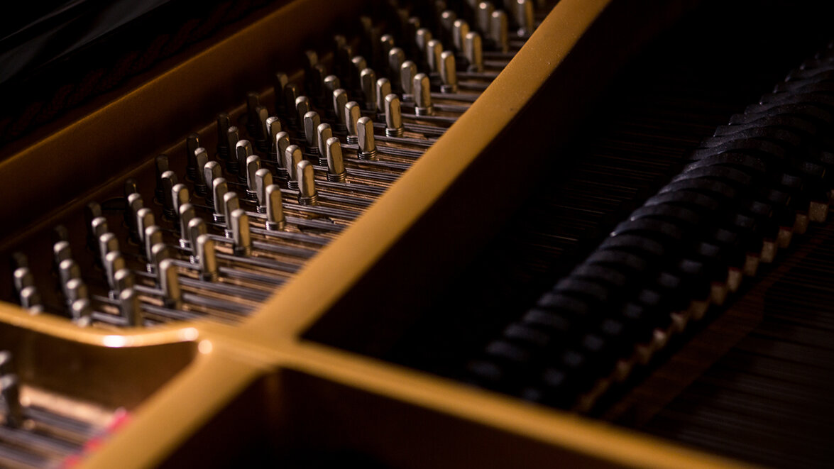 f06fd6cc-c304-42b2-86f0-8c7b8b051dac