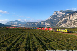 4935ae17-14bb-47bd-a029-f00f0473c98d