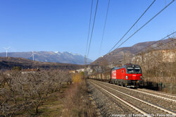 d981c19f-99b7-47e1-bd1f-1480a323cf8b