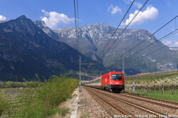 53cef5ec-186f-4e9f-b4ef-7a0072f8b92c