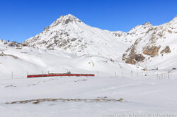 54f8c258-11fe-4a46-9e58-e04639db6664