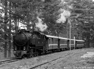 img_0126.jpeg img_0126.jpeg