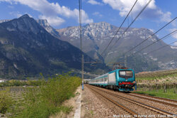 45cbd8c8-d3d0-4e56-98aa-e2df0970081d