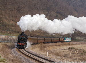 img_0479.jpeg img_0479.jpeg