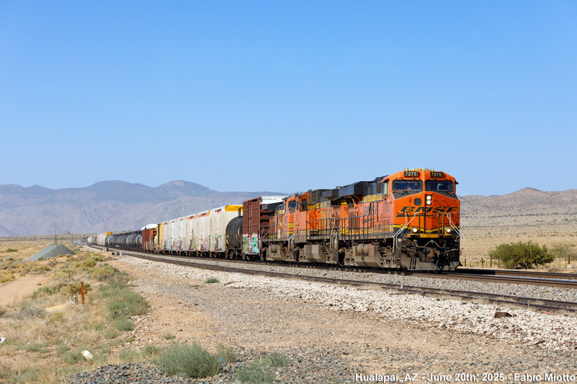 img_6255.jpeg img_6255.jpeg