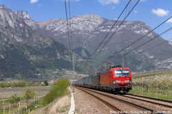 29ac1aed-d0e9-455f-aad3-26301ea646f7