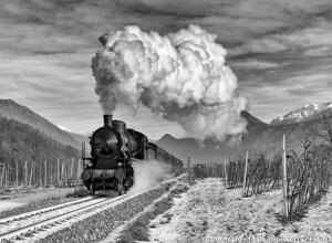 img_9625.jpeg img_9625.jpeg