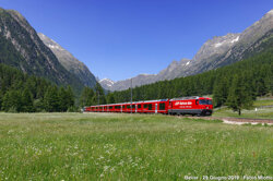 9115fd24-f463-408e-b03c-ec636d462e65