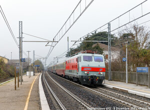 img_9560.jpeg img_9560.jpeg