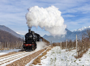 img_6337.jpeg img_6337.jpeg