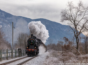 img_0454.jpeg img_0454.jpeg