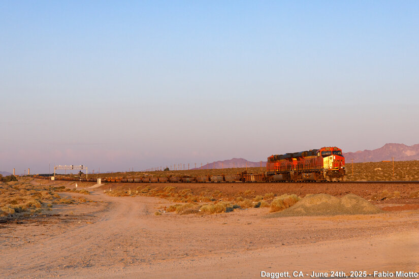 img_6950.jpeg img_6950.jpeg