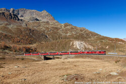 de773533-c06e-4ff6-94ef-426c2ff39c6b