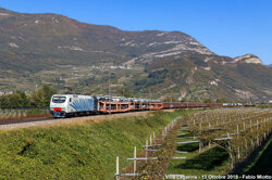 d3f3c3cc-6201-4ec2-94e9-f21b84a8e31b