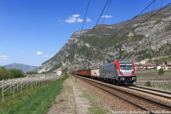 13fd9132-98d9-4125-a1b0-31d7a27c5e25